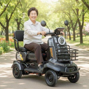 모션쿼드 튼튼한 사륜 전동스쿠터 어르신 노인 전동차 네발 전기자전거 전기차