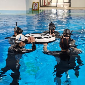 PADI/PSA 레벨1+2 라이센스 취득 (협회 택1)