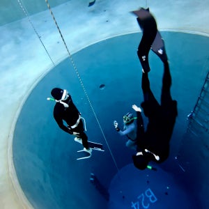 PADI/PSA 레벨3 라이센스 취득 (협회 택1)