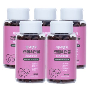 강아지 관절영양제 슬개골탈구 연골관리 막내댕이 관절&연골 마스터 100g 5개 런칭기념 50%