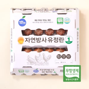 난각번호1번 무항생제 자연방사 유정란 30구