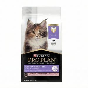 아기고양이사료 키튼 1개월 2개월 새끼고양이사료 1.5kg