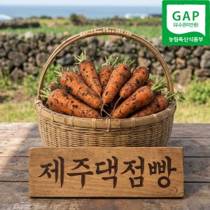 제주댁점빵 제주 구좌 국내 국산 흙 당근 주스용 햇 착즙 상(M), 5kg, 1개