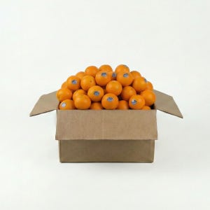 프리미엄 고당도 만다린 미국산귤 수입귤 10kg, 1개