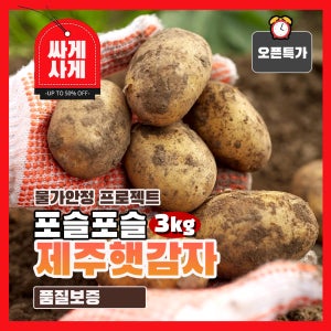 제주 산지직송 포슬포슬 국내산 햇감자 무료배송