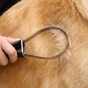 강아지 엉킨털 제거 시바견 슬리커브러쉬 이중모빗