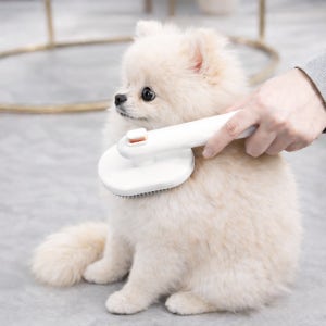 고양이 브러쉬 강아지 브러쉬 실리콘 빗 털제거