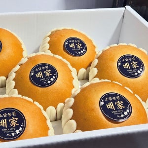 산지직송 명절 나주배 선물세트 보자기제공