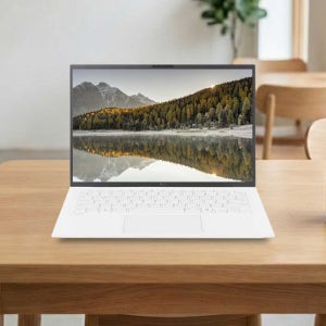 LG전자 그램14 14ZD90T-GX50K (FREEDOS/SSD 2TB/RAM 16GB)