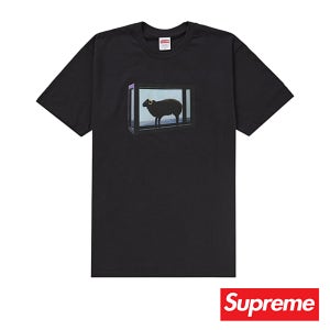 25SS 슈프림 티셔츠 블랙 데미안 허스트 티셔츠