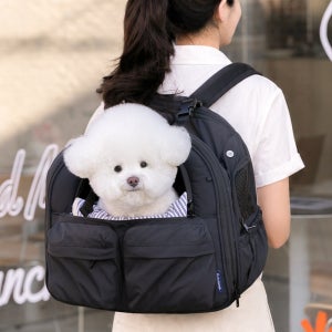 강아지 이동가방 애견 백팩 소형견 고양이 펫츠랜드 몽드백팩 M