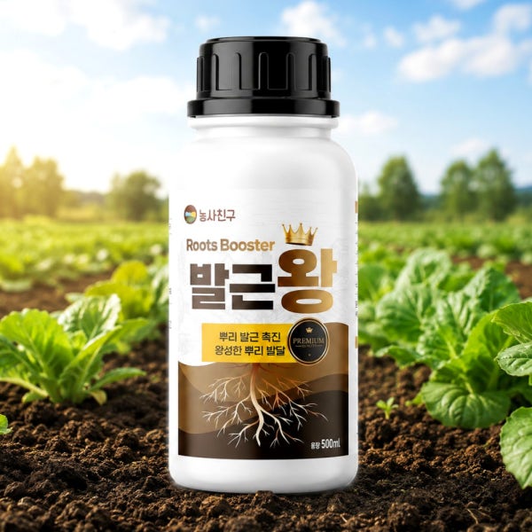 엽면시비 발근왕 배추 활착 마늘 양파 고추 비대 뿌리 농약 발근제 아님