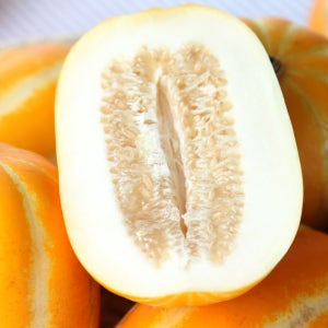 산지직송 성주 고당도 정품 꿀 참외 1.5kg 2kg 3kg