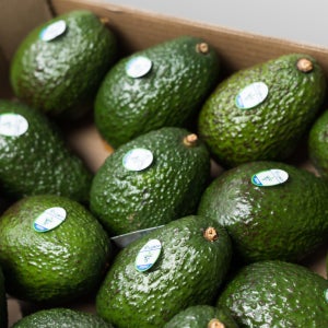 아보카도 과일 최상급 프리미엄 아보카토 아보카드 5과 10과