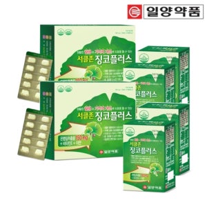 은행잎추출물 기억력개선제 일양약품 서클존 징코플러스 500mg 120정, 2개