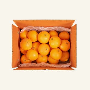 제주 천혜향 수라향 설단향 고당도 3kg 5kg 10KG 제철과일 천해향 가정용