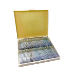 영구 프레파라트 식물편 100매