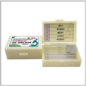 영구 프레파라트 균류-곰팡이/버섯류(5pcs)