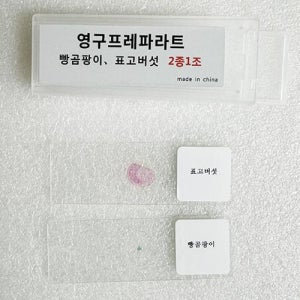 빵곰팡이+표고버섯 영구프레파라트(2개1조)