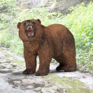 슐라이히 SL14685 그리즐리 곰