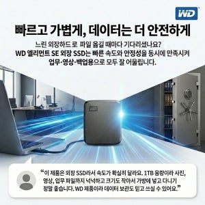 웨스턴디지털 WD 엘리먼트 SE 외장 SSD 1TB 2개1세트