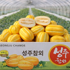 고당도 성주 참외 못난이 가정용 미니 꼬마 성주 꿀 참외 5kg 3kg 2kg