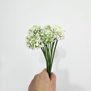 라넌큘러스 폰폰이글루 한단 고속터미널꽃시장 생화택배 폼폰이글루