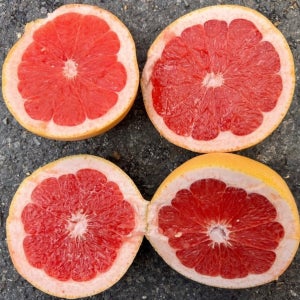 레드자몽 수입자몽 생과 과일 중과5개