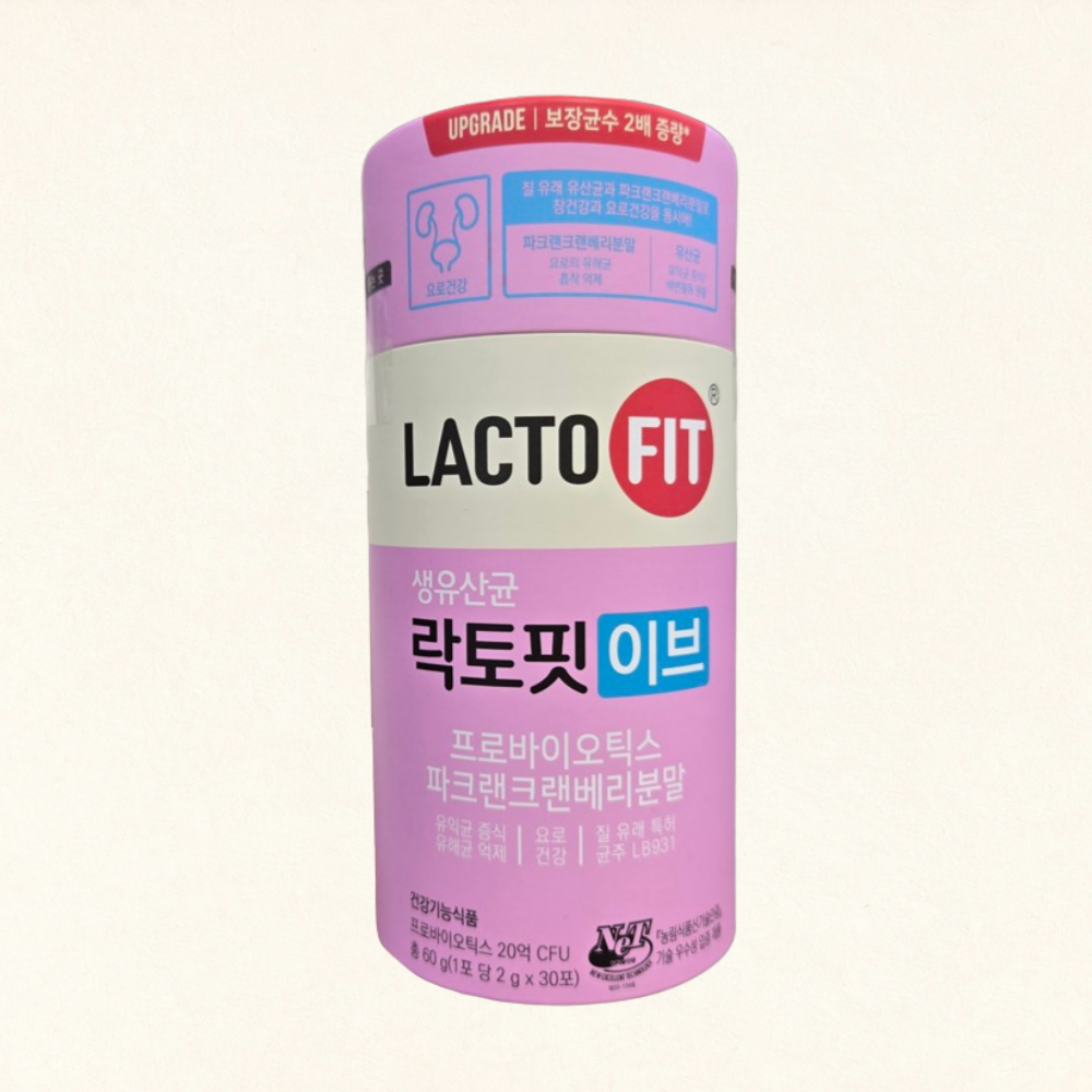 락토핏 이브