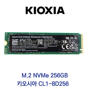 키오시아 M.2 NVMe 256GB 벌크 (CL1-8D256)