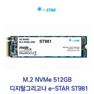 디지탈그리고나 e-STAR ST981 M.2 NVMe 512GB 벌크