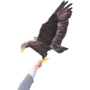 광고 메인 이미지