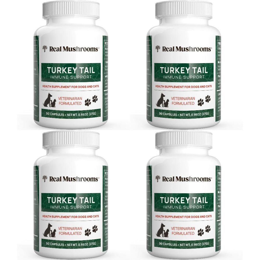리얼머쉬룸 Real Mushrooms 반려동물 <b>터키테일</b> 버섯 캡슐 90정 4팩