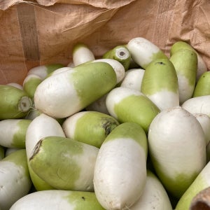 심온상회 제주 세척 월동무 5kg