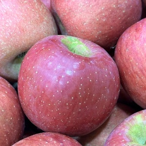 사과 부사 가정용 못난이 아삭한 3kg 5kg 10kg