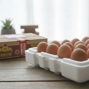 난각번호1번 방사유정란 무항생제 친환경계란 당일산란배송 달걀 ​20구,​40구,60구 스티