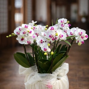 광고 메인 이미지