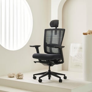 듀오백 브라보 BR-200C 메쉬의자 허리가 편한 사무용 홈오피스 컴퓨터 의자