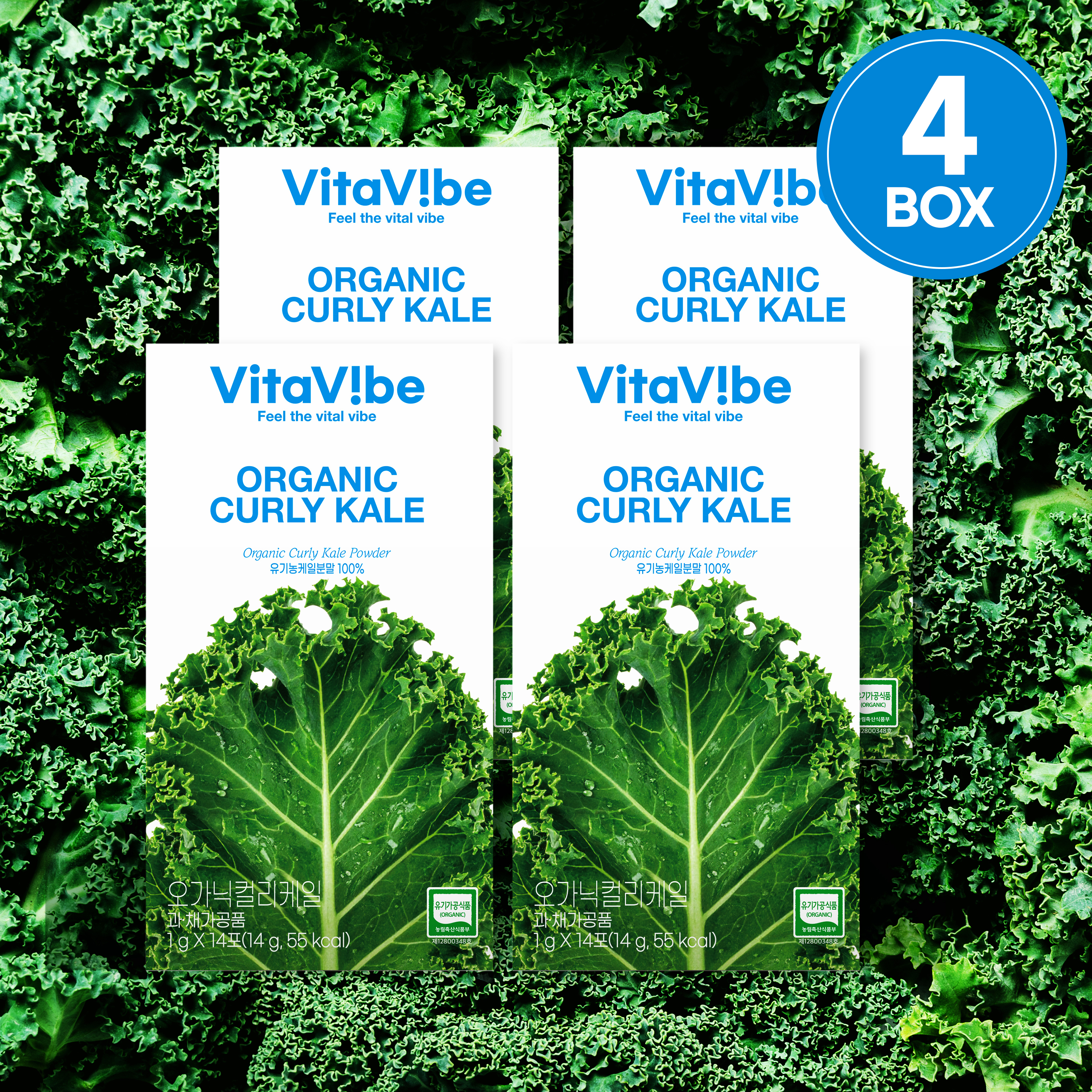 컬리케일 분말 곱슬케일 100% 폴란드산 유기농