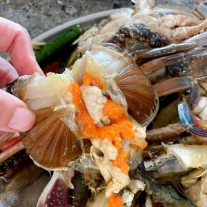 연평도 꽃게 서해 급냉암꽃게 냉동 봄꽃게 알베기 1kg