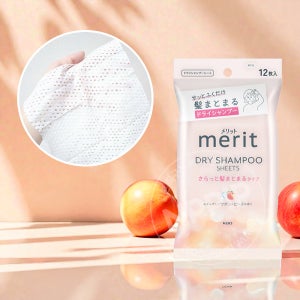 메리트 시트형 드라이 샴푸 시트 12매입 헤어 정리 일본 헤어용품 사봉피치, 150, 1개