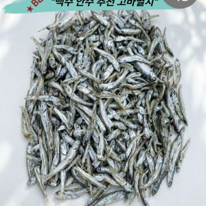 남해 미조 고바멸치 750g 안주용 조림용 건멸치 당일포장 산지직송