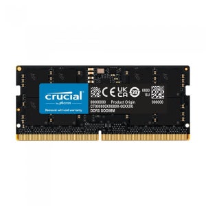 마이크론 Crucial 노트북 DDR5-5600 CL46 대원씨티에스 (8GB)