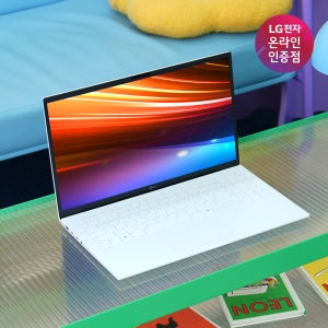 LG그램15 15ZD95U-GX56K AI5 16G 256G OS미탑재 16GB, 512GB