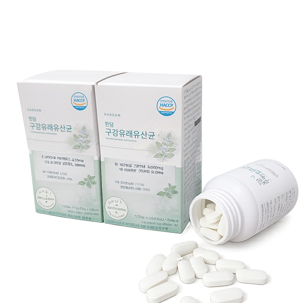 한담 구강유래유산균 자일리톨 <b>3000</b>mg 애플민트맛 60정 X 2개