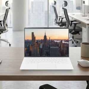 LG전자 AMD 그램14 고르곤포인트 14ZD95U-GX5WK DDR5 16GB, 1TB, Windows11Home 화이트색상