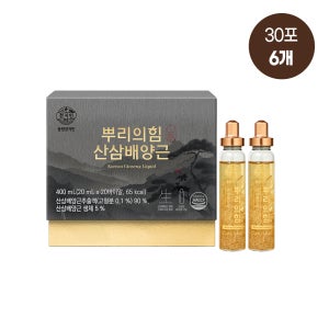 동원 천지인 뿌리의 힘 산삼배양근 20개입, 6개