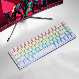 유선기계식키보드 K68 RGB 68키 미니 청축 메케니컬 스카이라이온 Skylion