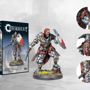 컨퀘스트 Conquest Hundred Kingdoms Seasoned Veteran