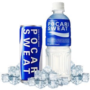 포카리스웨트 240ml 캔 500ml 페트 각6개총12개 이온음료 스포츠음료 음료수 도매